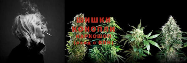 прущая мука Богородицк