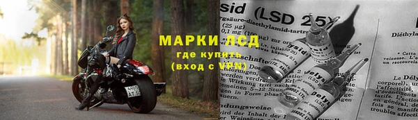 прущая мука Богородицк